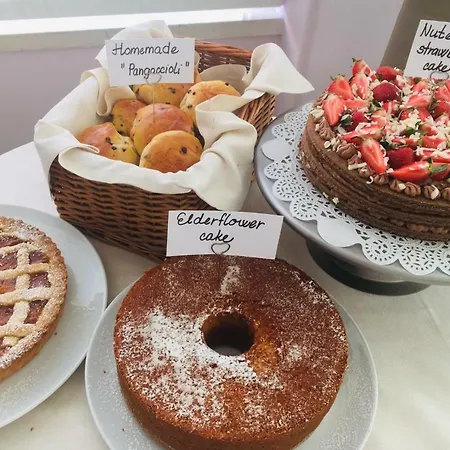 酒店 杰特酒店 3*